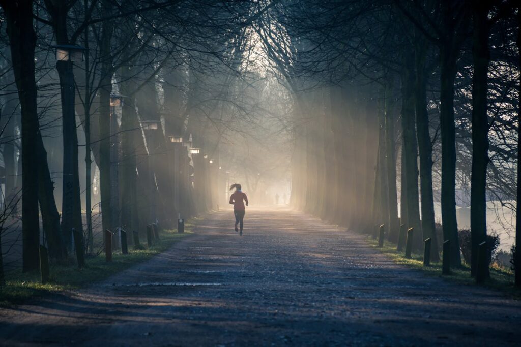 Runner on misty tree-lined path at dawn building a morning training routine in Sydney