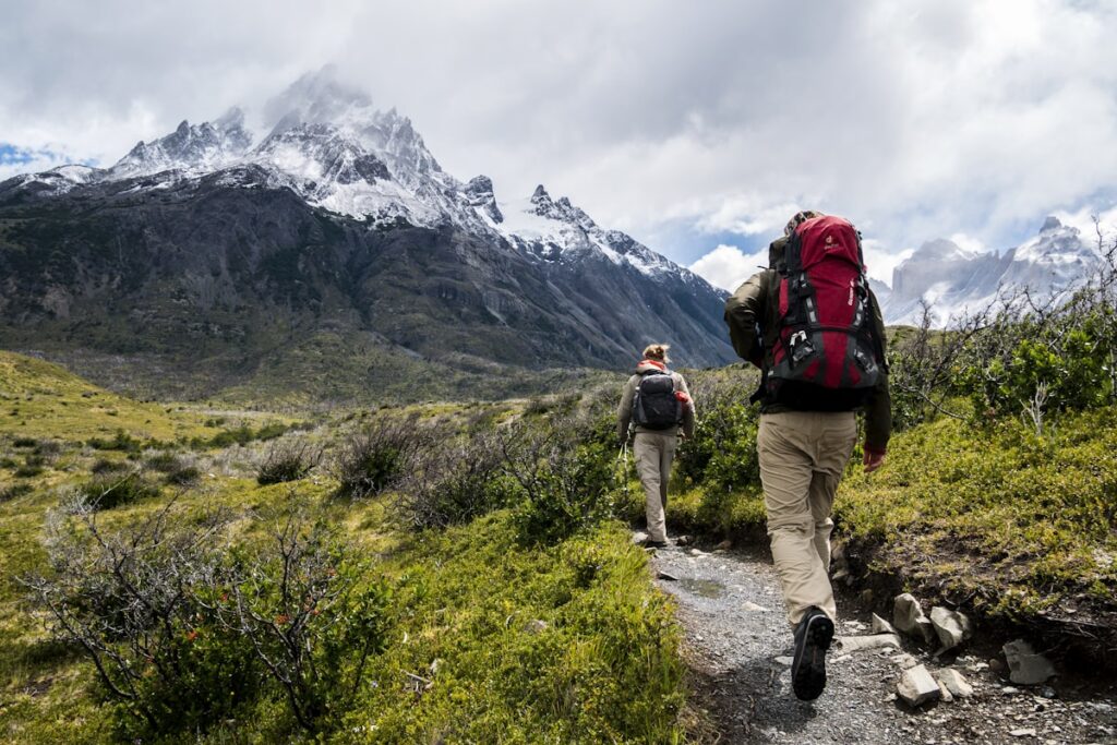 Walking trail through nature for mental health and outdoor exercise in Sydney